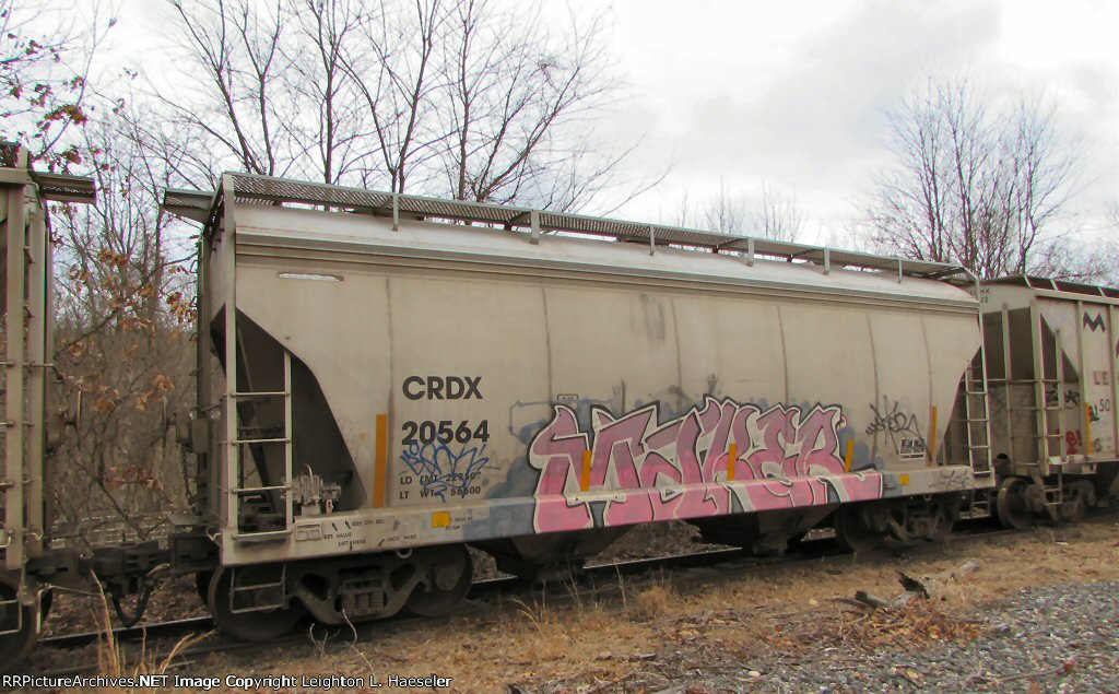 CRDX 20564